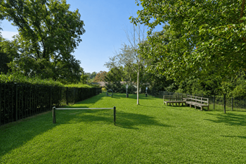 Pet park with agility equipment
